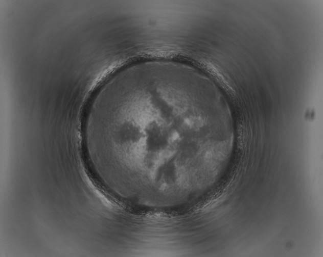 X0000090730634200708031524