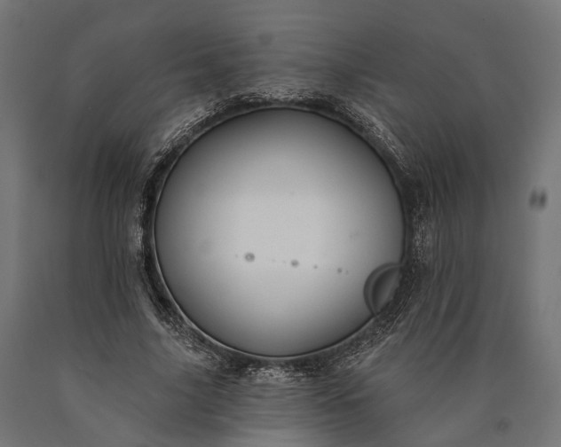 X0000090730635200708031524