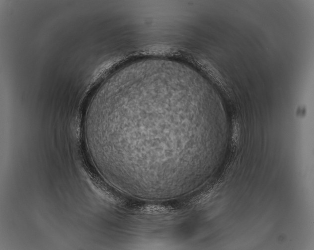 X0000090730636200708031524