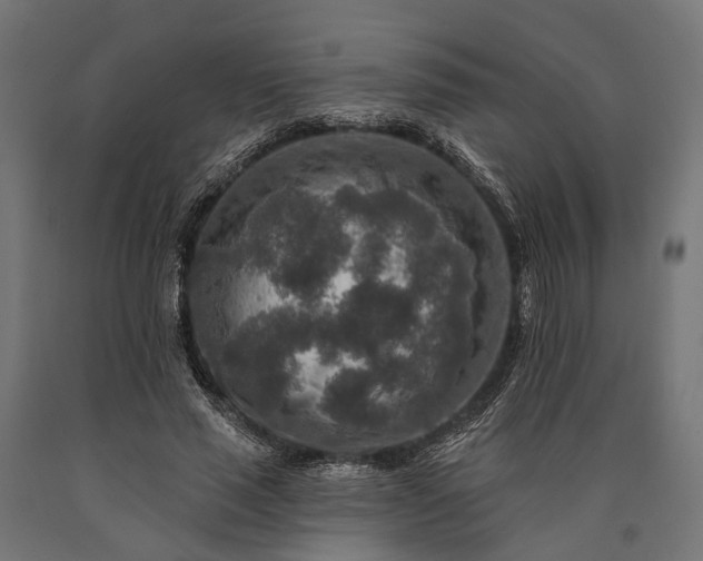 X0000090730637200708031524