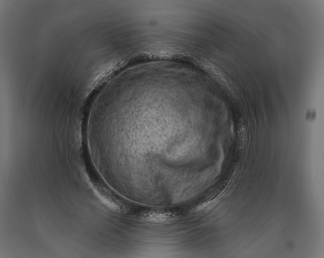 X0000090730638200708031524