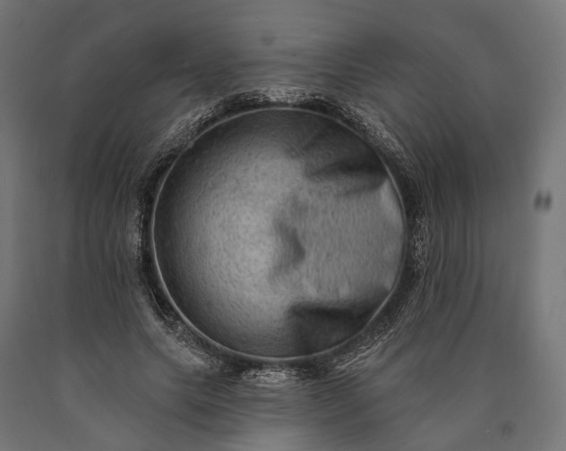 X0000090730639200708031524