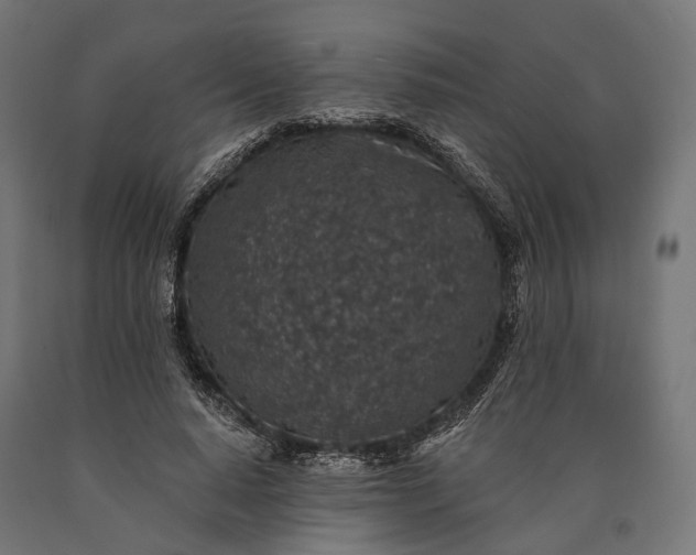 X0000090730640200708031524