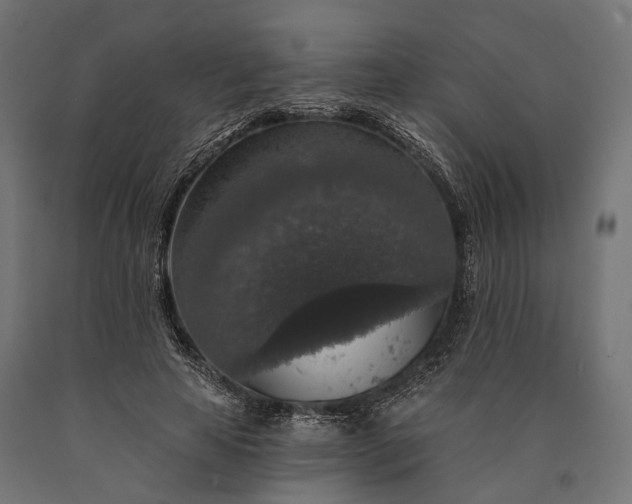 X0000090730641200708031524