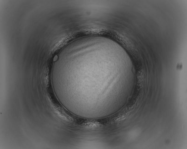 X0000090730642200708031524