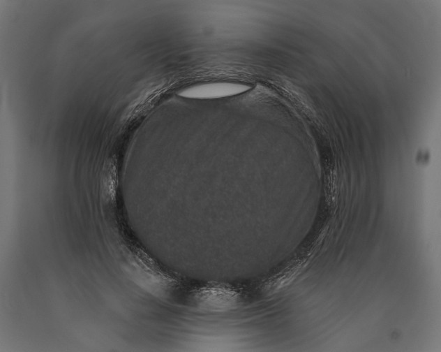 X0000090730644200708031524