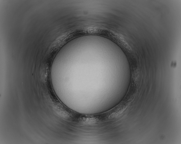 X0000090730645200708031524