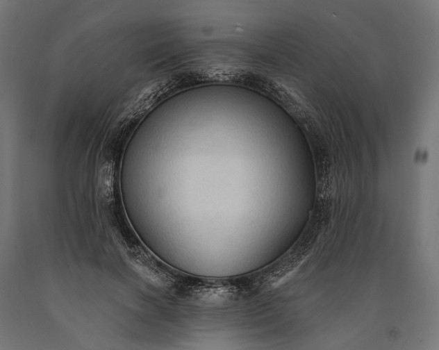 X0000090730646200708031524