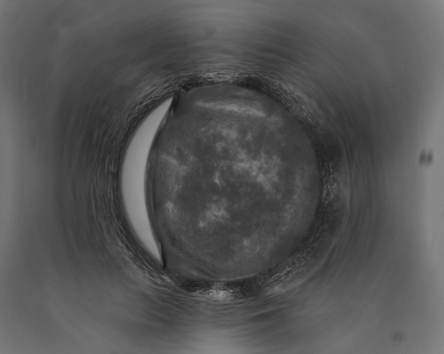 X0000090730647200708031524