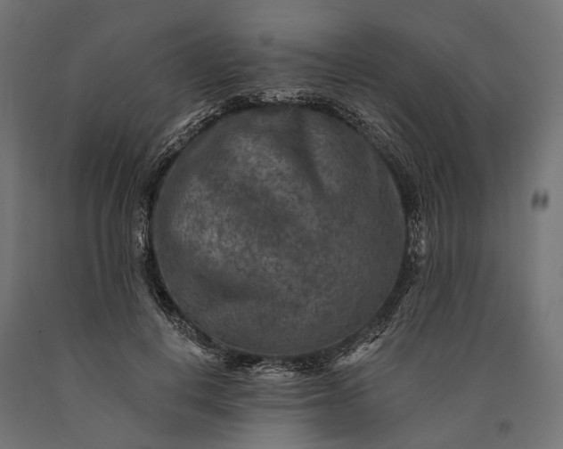 X0000090730648200708031524