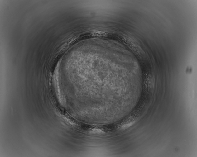 X0000090730649200708031524