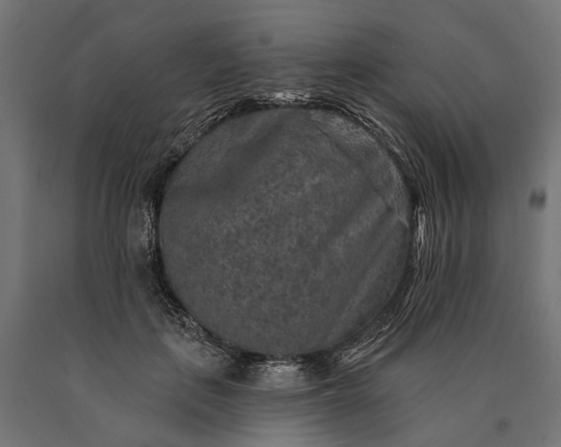 X0000090730651200708031524