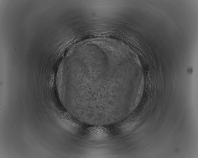 X0000090730652200708031524