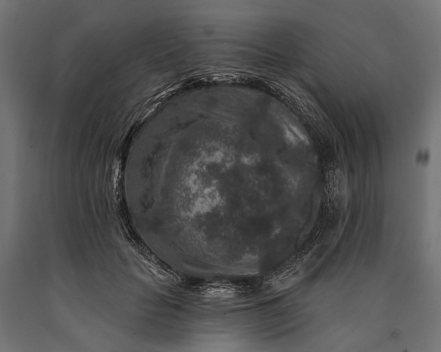 X0000090730653200708031524