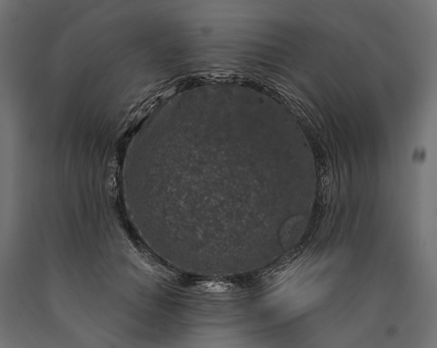 X0000090730654200708031524