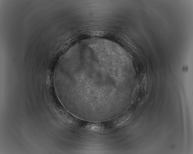 X0000090730655200708031524