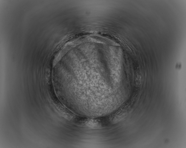 X0000090730656200708031524