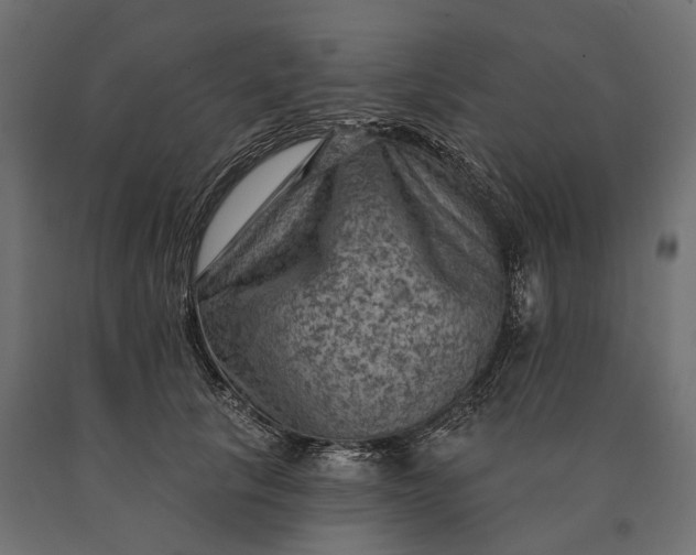 X0000090730657200708031524