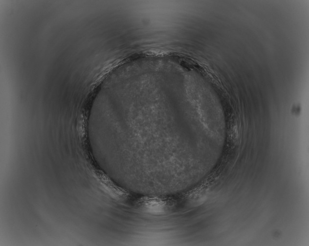 X0000090730658200708031524