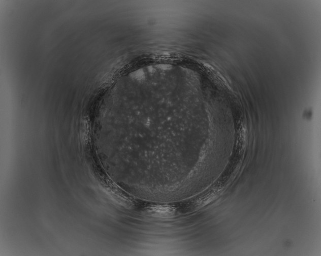 X0000090730659200708031524