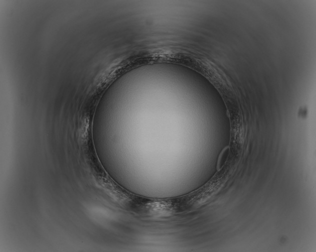 X0000090730660200708031524