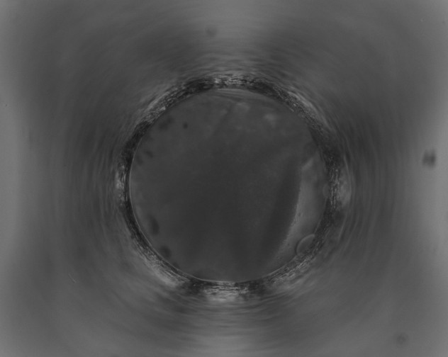 X0000090730661200708031524