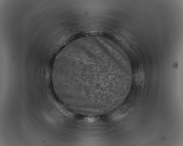 X0000090730662200708031524