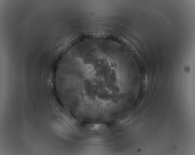 X0000090730663200708031524