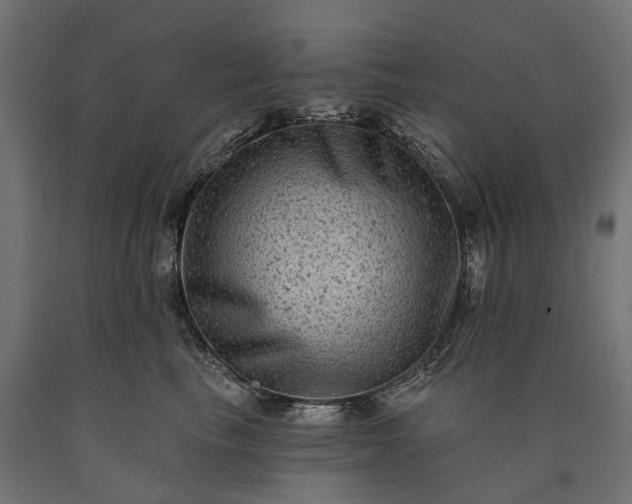 X0000090730665200708031524