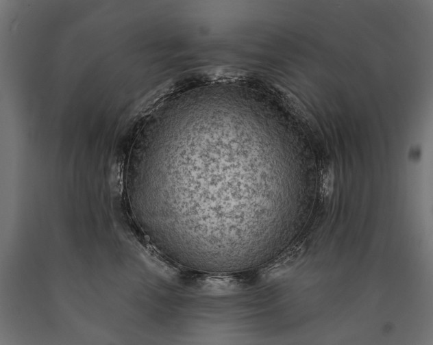 X0000090730666200708031524