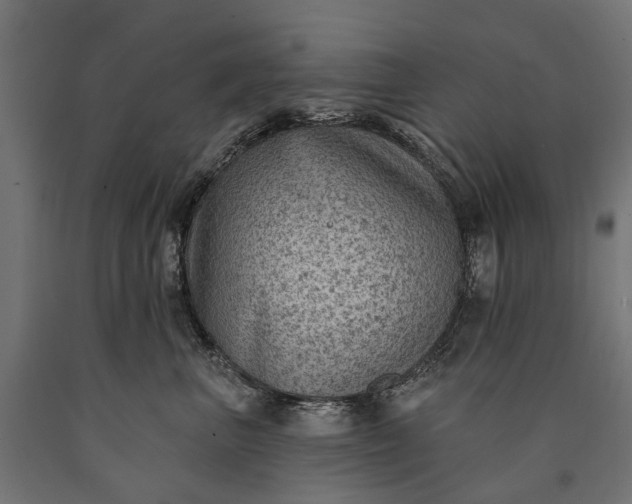 X0000090730667200708031524