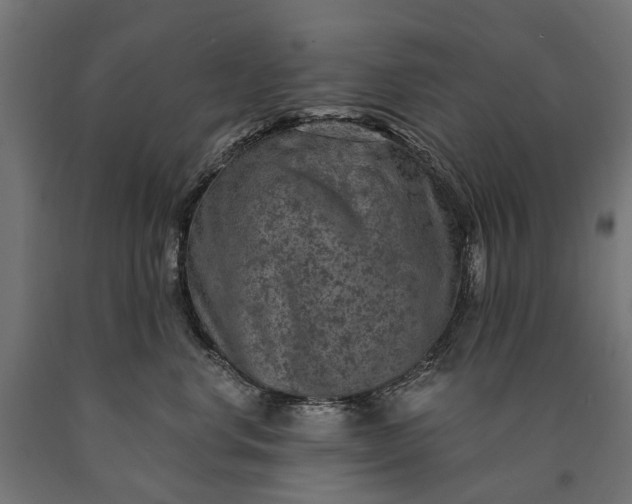 X0000090730668200708031524