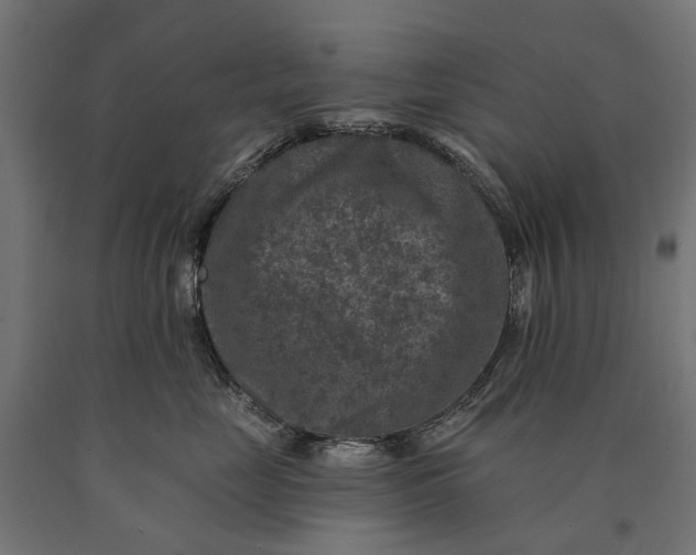 X0000090730669200708031524