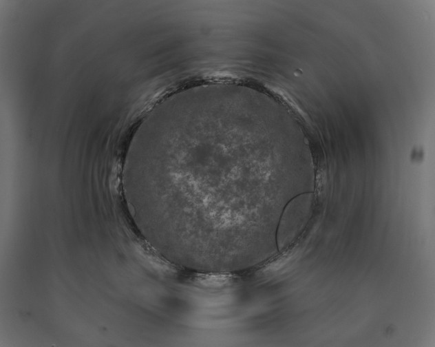 X0000090730671200708031524