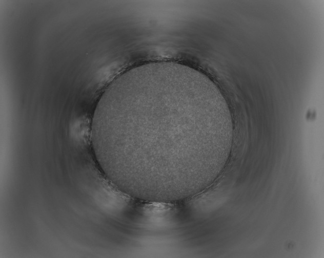 X0000090730672200708031524