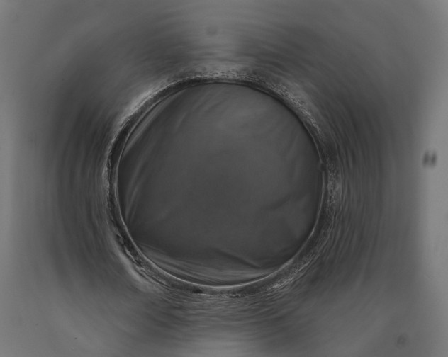 X0000090730674200708031524