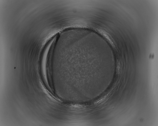 X0000090730677200708031524