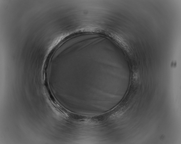 X0000090730678200708031524