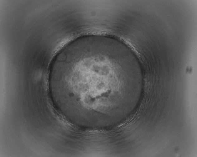 X0000090730679200708031524