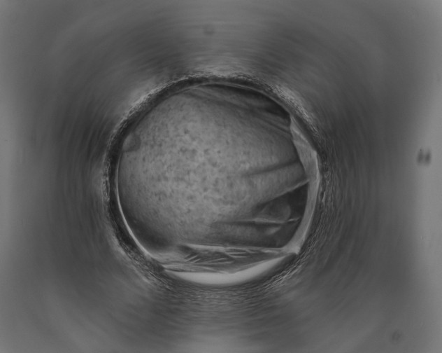 X0000090730680200708031524