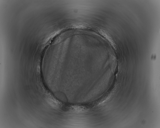 X0000090730681200708031524