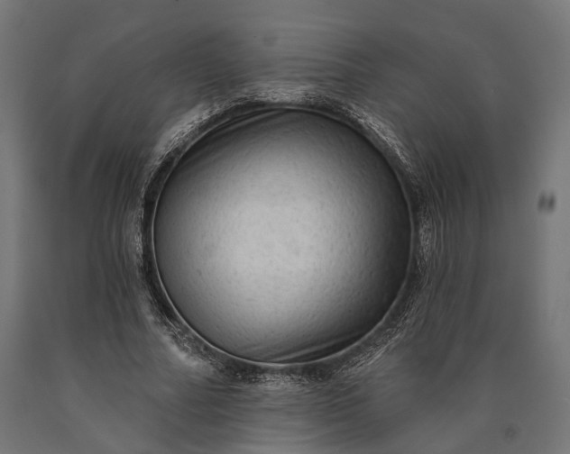 X0000090730682200708031524