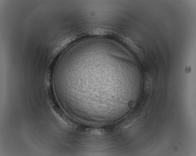 X0000090730683200708031524