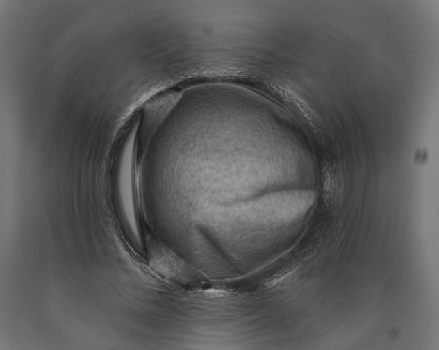 X0000090730684200708031524