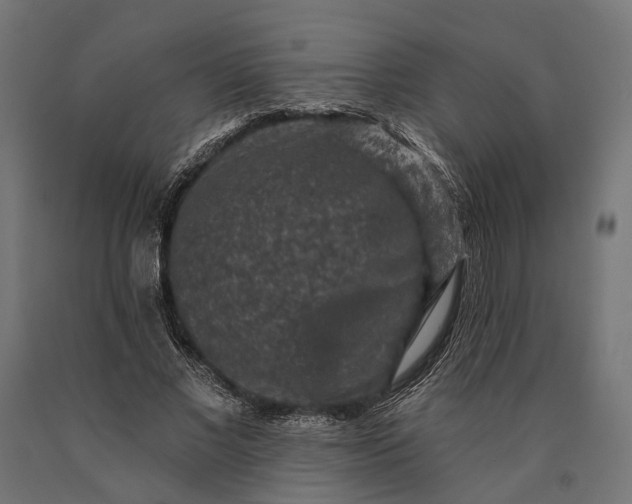 X0000090730685200708031524