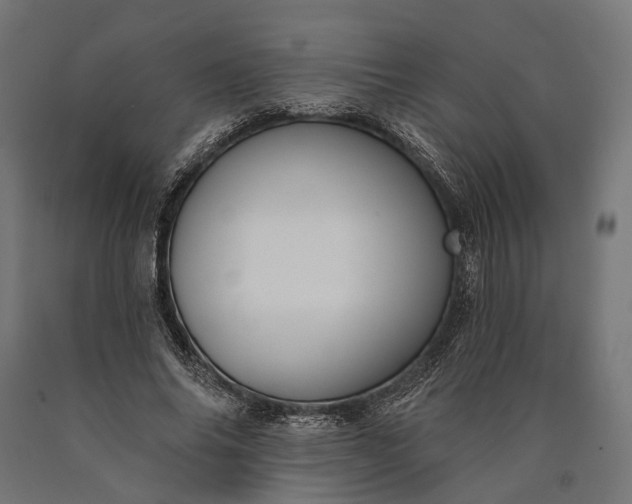 X0000090730686200708031524