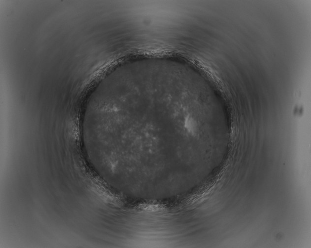 X0000090730689200708031524