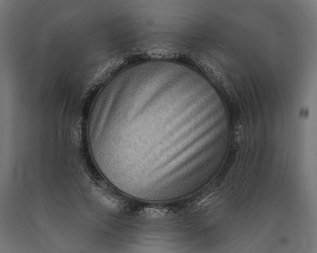 X0000090730690200708031524