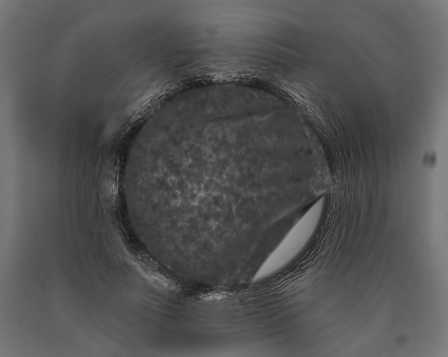 X0000090730691200708031524