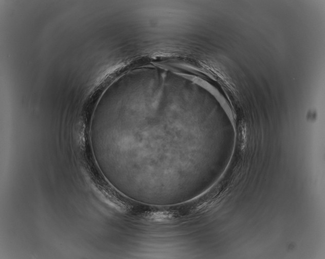 X0000090730692200708031524